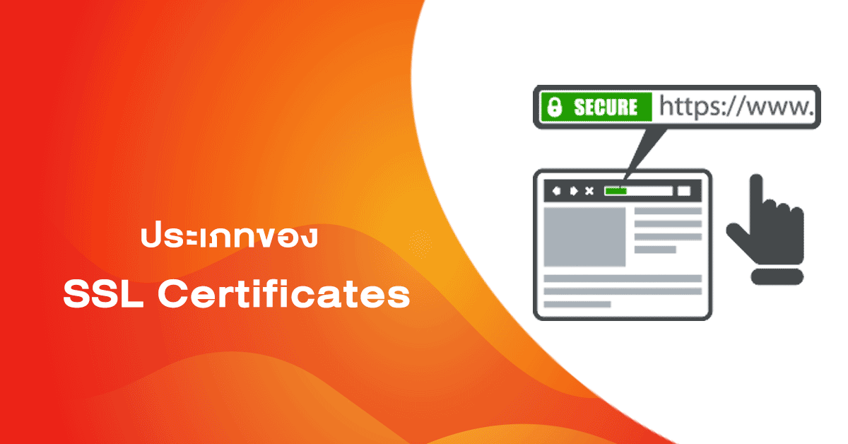 ประเภทของ SSL Certificate  